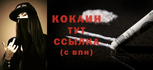 шишки Богданович