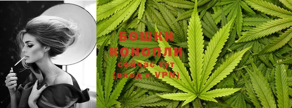 шишки Богданович